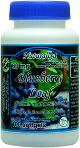 BlueBerry Leaf 100 Perlas 60mg BlueBerry Leaf 100 Perlas 60mg