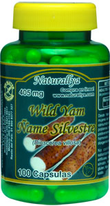 Wild Yam Ñame Silvestre 405mg c/100 caps